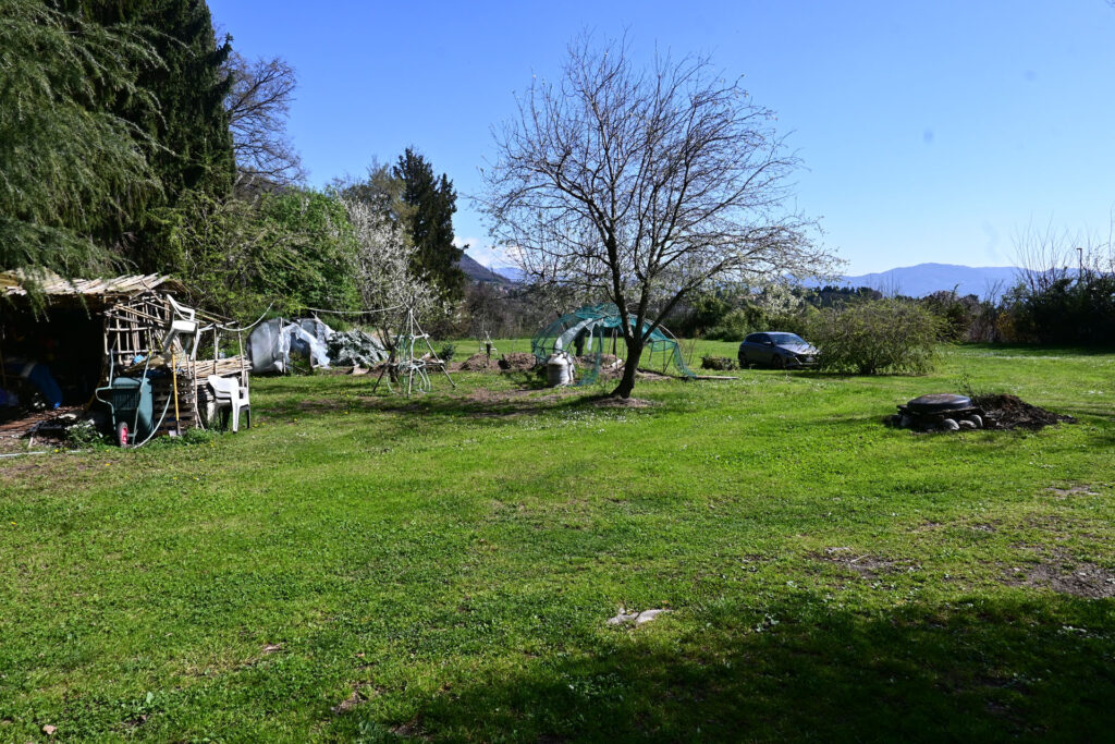 centro reiki la cupola (22)